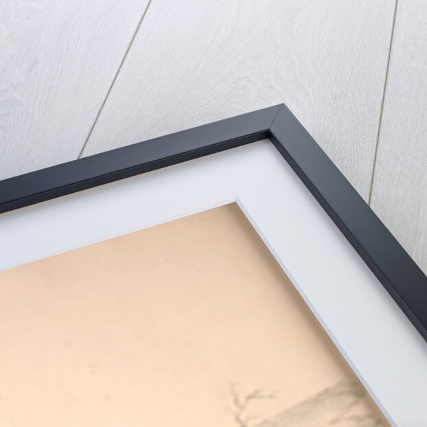 Tragopan Satyrus, Crimson Horned Pheasant by Elizabeth Gould and John Gould