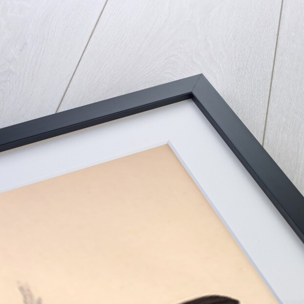 Turdus Erythrogaster by Elizabeth Gould and John Gould