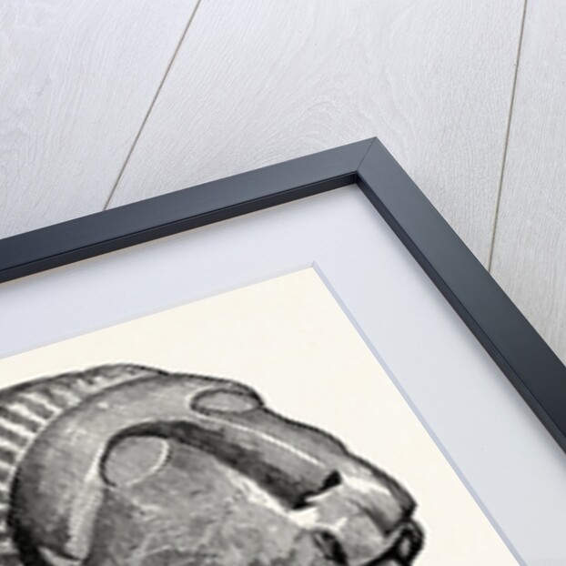 Roman Remains from Drumburgh and Kirkby Thore by Anonymous