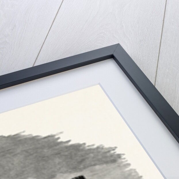 Lowther Castle, South Front by Anonymous