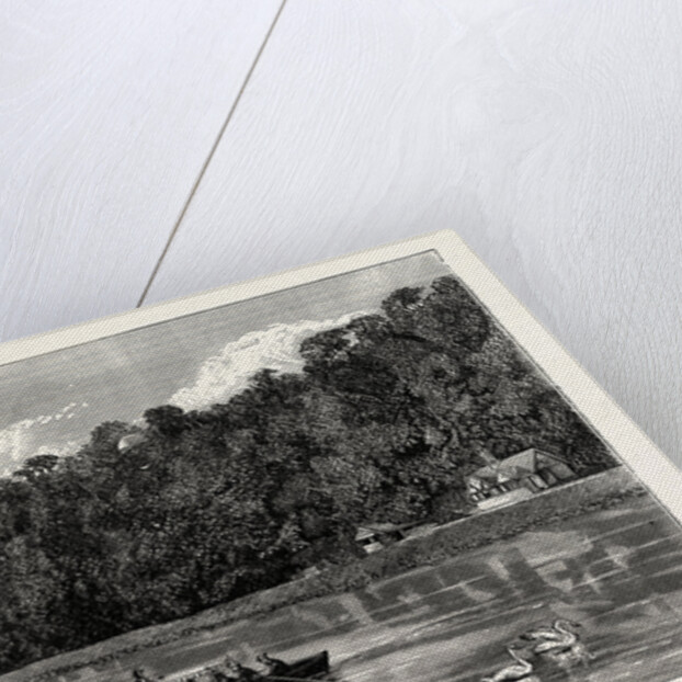 Cliefden, the Summer Cottage by Anonymous