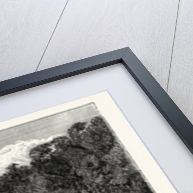 Cliefden, the Summer Cottage by Anonymous