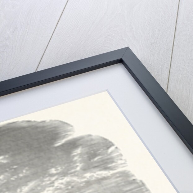 North-east Side of Raby Castle by Anonymous