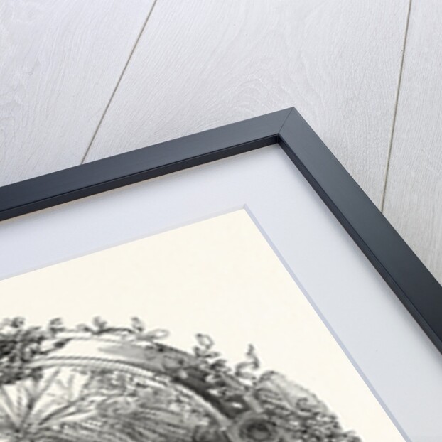 In the Winter Garden. Statue of Hymen, Byrtrom, Somerleyton by Anonymous