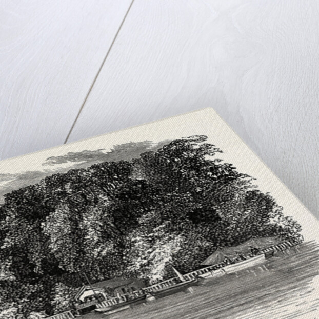 The Trent and Donington Cliff by Anonymous