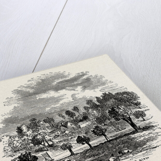 The Trent and Weston Cliff by Anonymous