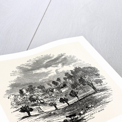 The Trent and Weston Cliff by Anonymous