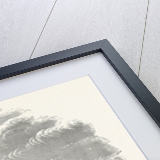 The Temple of Concord, Audley End by Anonymous