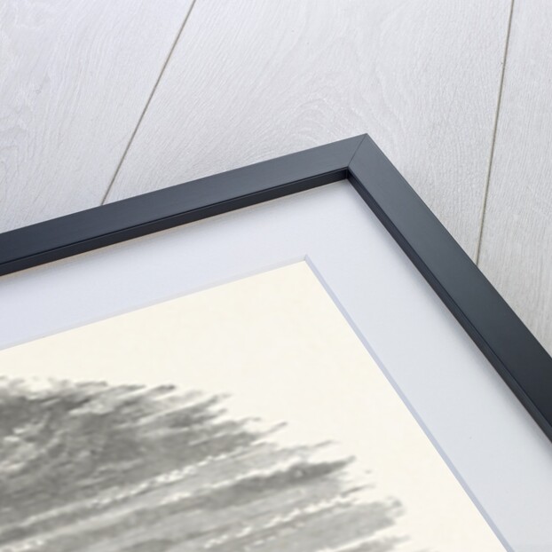 South Front, Audley End by Anonymous