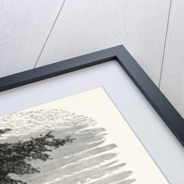 Belvoir Castle from the Grantham Road by Anonymous