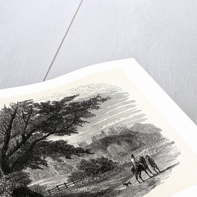 Belvoir Castle from the Grantham Road by Anonymous