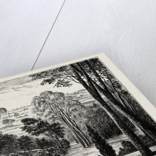 The Duchess's Garden, Belvoir Castle by Anonymous