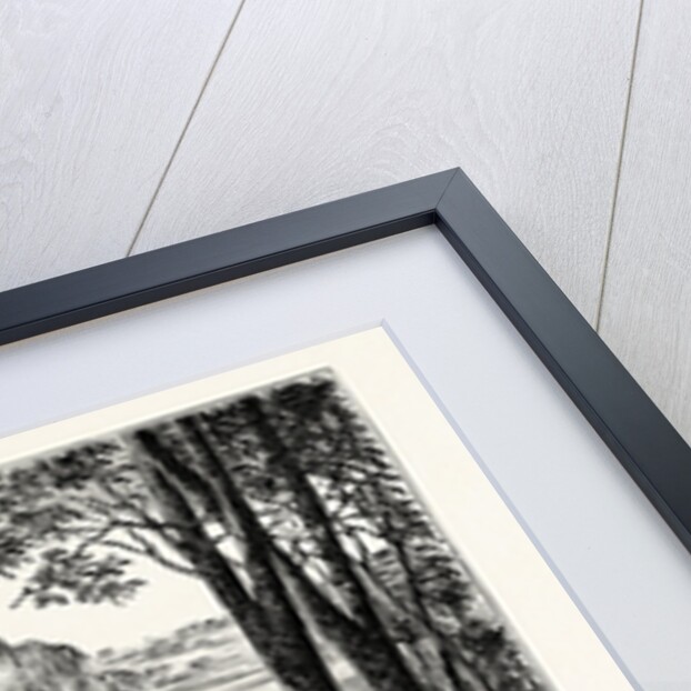 The Duchess's Garden, Belvoir Castle by Anonymous