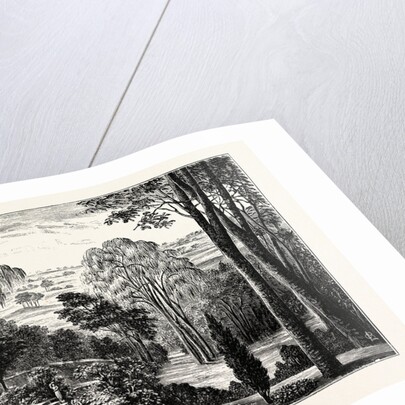 The Duchess's Garden, Belvoir Castle by Anonymous