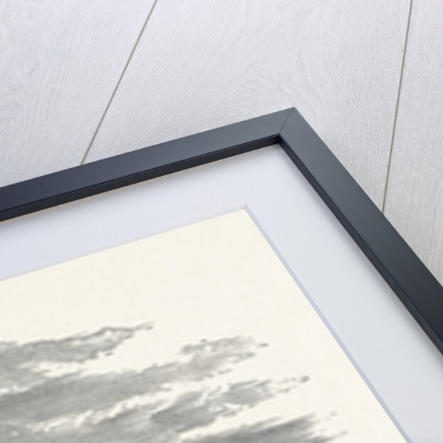 The South Front, from the Italian Gardens, Trentham by Anonymous