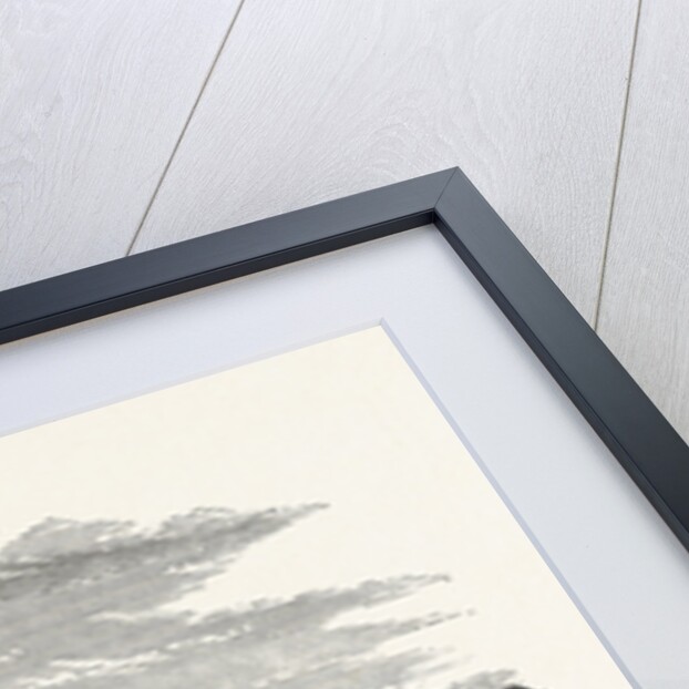 The Conservatory and Private Wing, South Front, Trentham by Anonymous