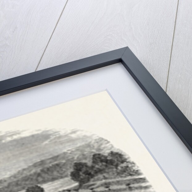 The Upper Terrace Garden by Anonymous