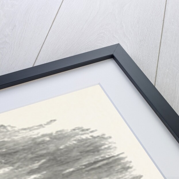 The South Front, Castle Howard by Anonymous