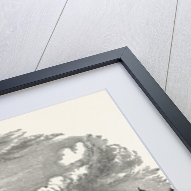 The Garden Front, Castle Howard by Anonymous