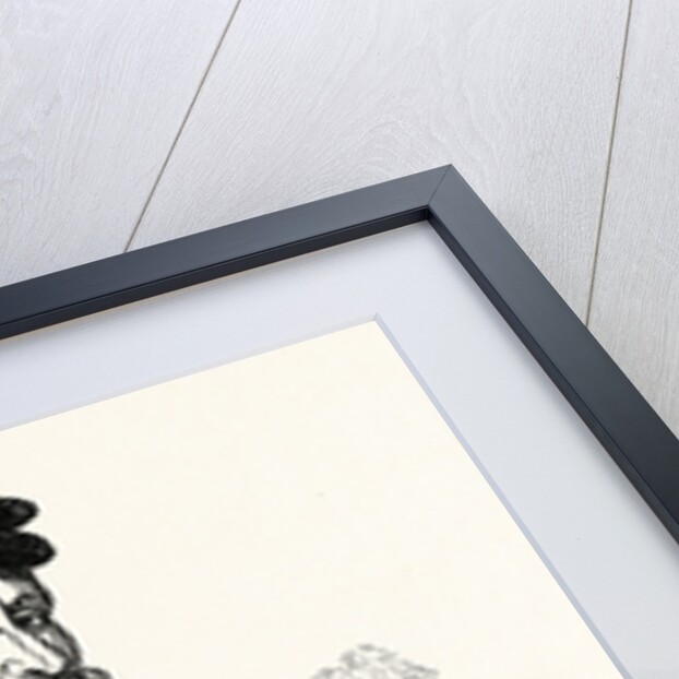 Portrait Sir Thomas Gresham, English merchant and financier by Anonymous