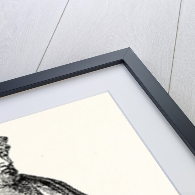 Statue Sir Thomas Gresham, English merchant and financier by Anonymous