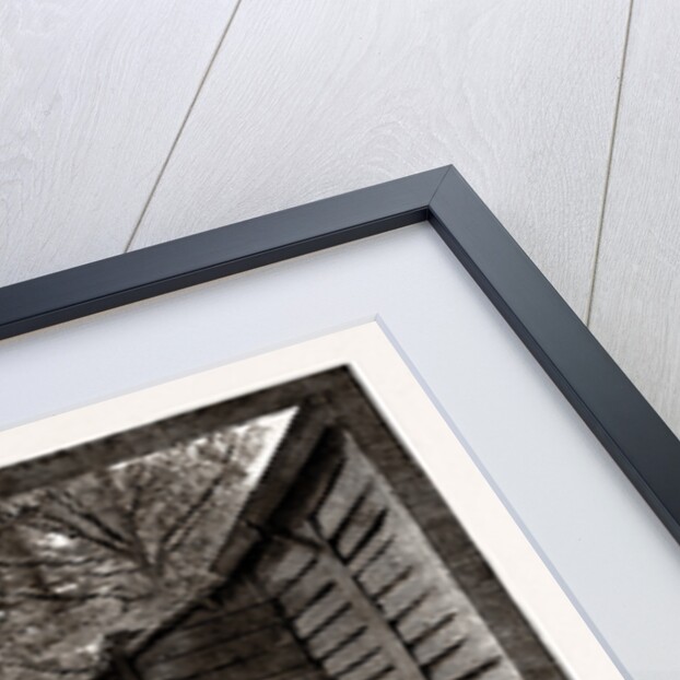 The Powder Mills, Waltham by Anonymous