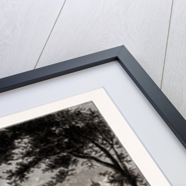 Old Theobalds Palace by Anonymous