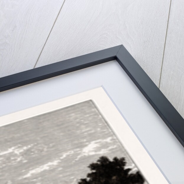 Whitton Park by Anonymous