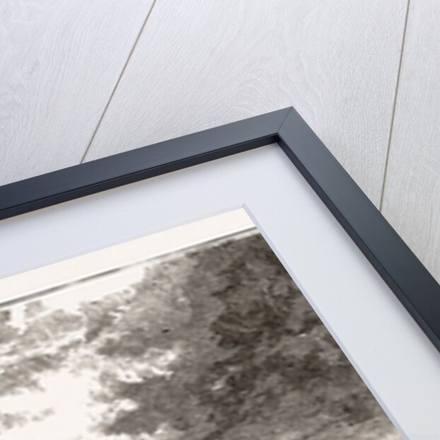 Hampton Court Bridge by Anonymous