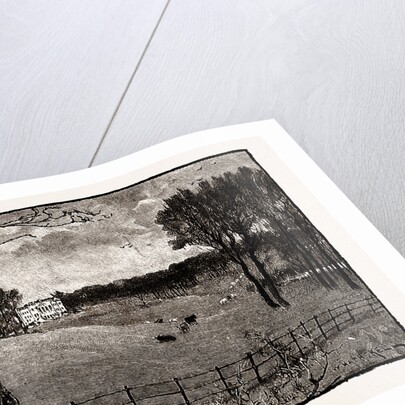 Wrotham Park by Anonymous