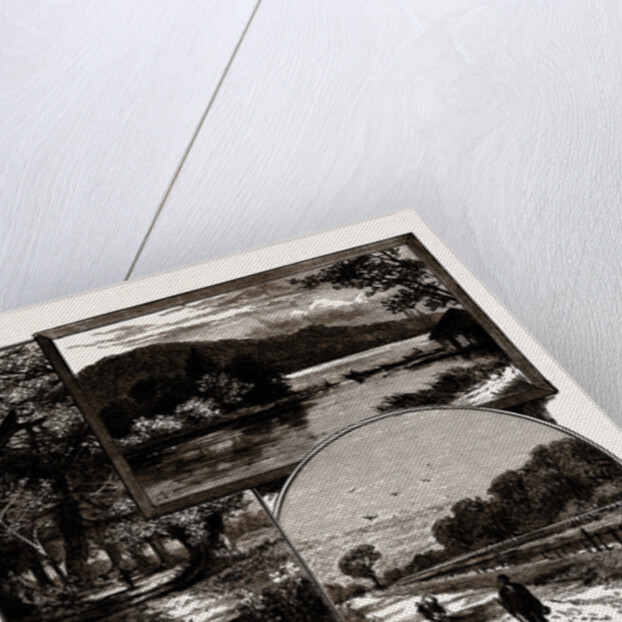 Views In Epping Forest by Anonymous