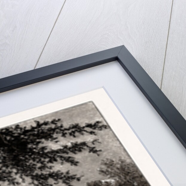 Westham Park by Anonymous