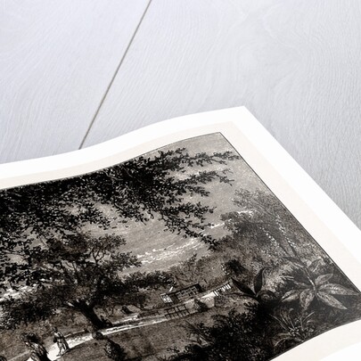 Westham Park by Anonymous