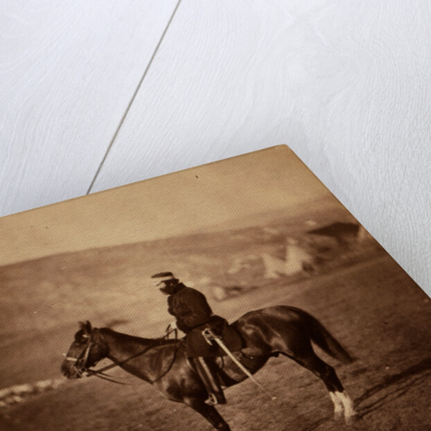 Colonel Shewell, C.B., commanding Hussar Brigade, Crimean War by Roger Fenton