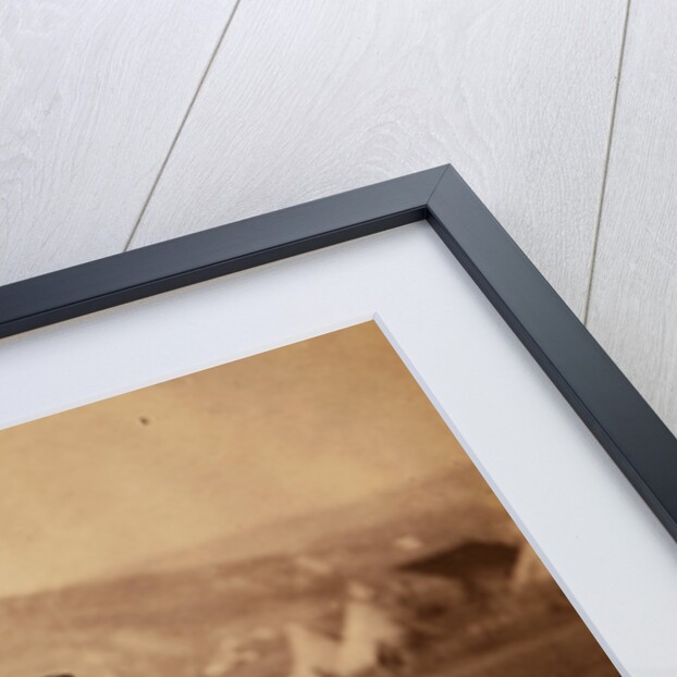 Colonel Shewell, C.B., commanding Hussar Brigade, Crimean War by Roger Fenton