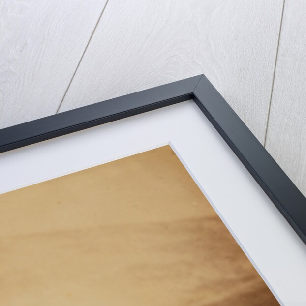 Henry Duberly Esqr., paymaster, 8th Hussars, & Mrs. Duberly, Crimean War by Roger Fenton