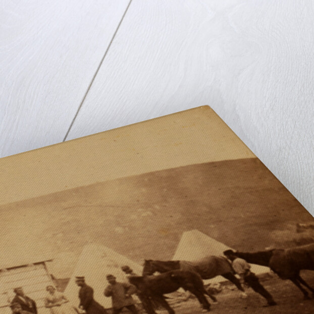 Captain Webb's hut, 4th Dragoon Guards, Crimean War by Roger Fenton