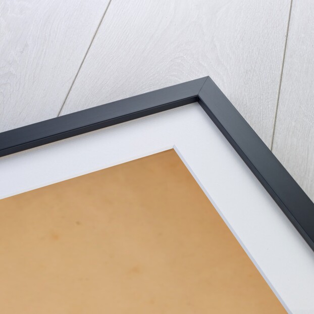 Camp of the 3rd Division, French tents in the distance, Crimean War by Roger Fenton