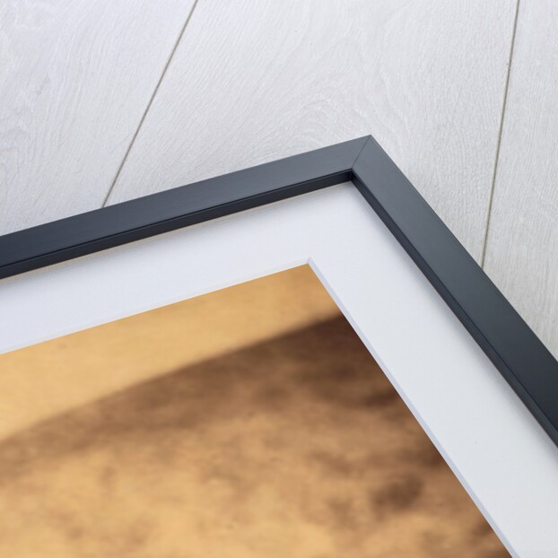 Captain Halford, 5th Dragoon Guards, Crimean War by Roger Fenton