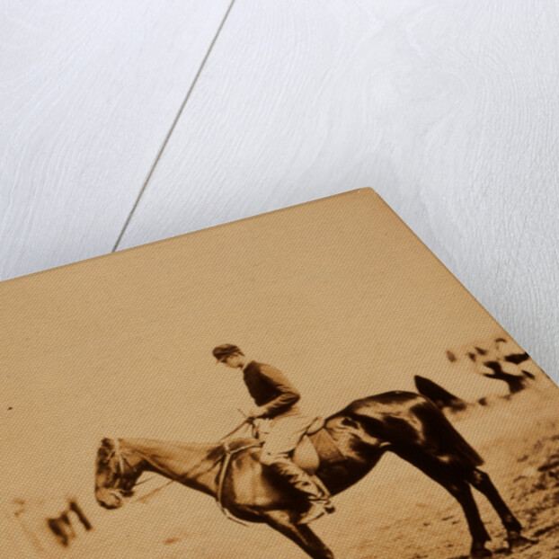 Captain Morgan, Rifle Corps, A.D.C. to General Bernard, on Coxcomb the winner of the Crimean races by Roger Fenton