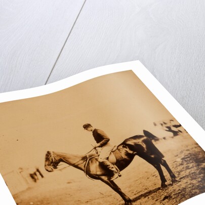 Captain Morgan, Rifle Corps, A.D.C. to General Bernard, on Coxcomb the winner of the Crimean races by Roger Fenton