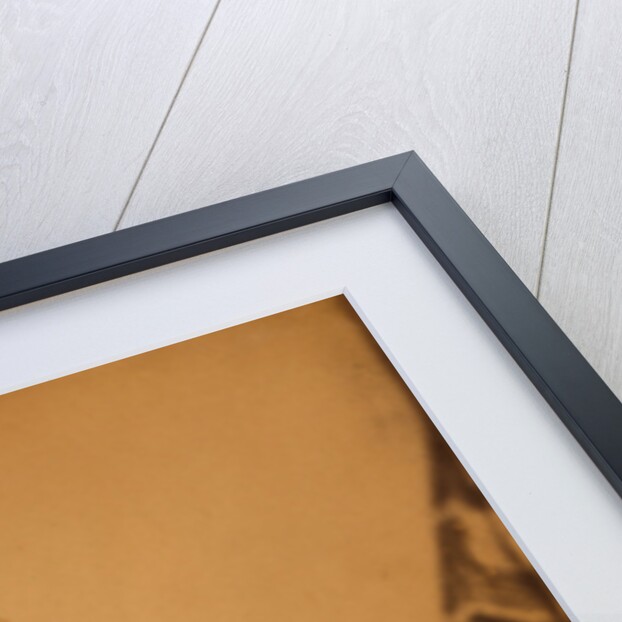 Captain Hughes, lately employed on special service in Circassia by Roger Fenton