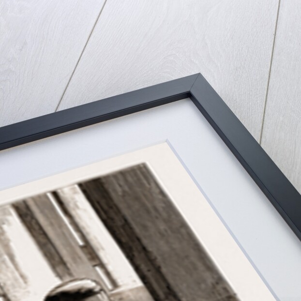 In The Synagogue Of The White Jews by Anonymous