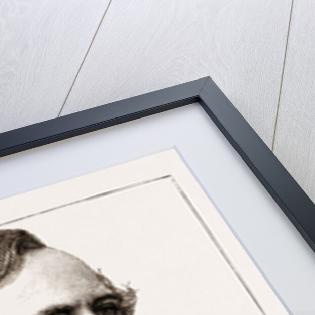 J. Mulholland, Esq. by Anonymous