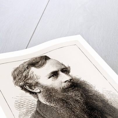 J. Mulholland, Esq. by Anonymous