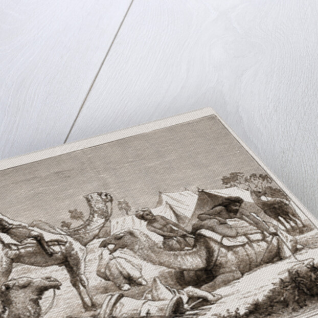 India, Camel Riders Of A Native Cavalry Regiment Preparing For A March by Anonymous