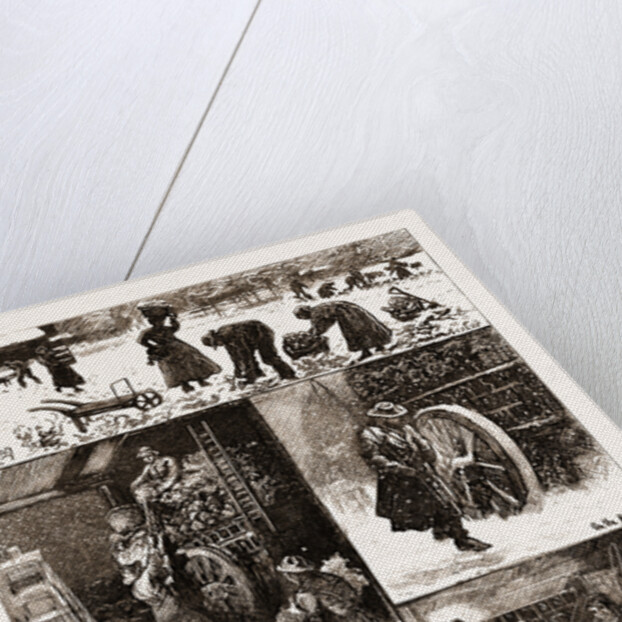 Market Gardening: A Winter's Journey To Covent Garden, London by Anonymous