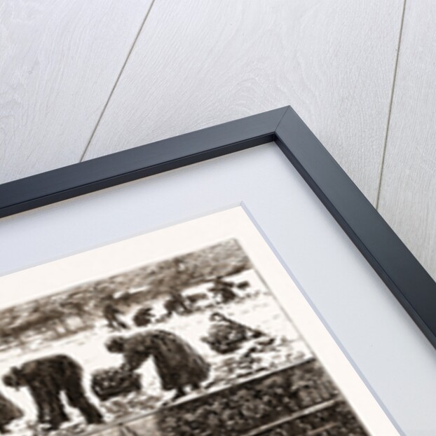 Market Gardening: A Winter's Journey To Covent Garden, London by Anonymous