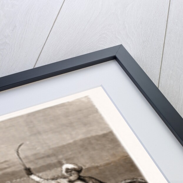 Grand Review Before The Prince Of Wales At Delhi, India: Charge Of Native Cavalry by Anonymous