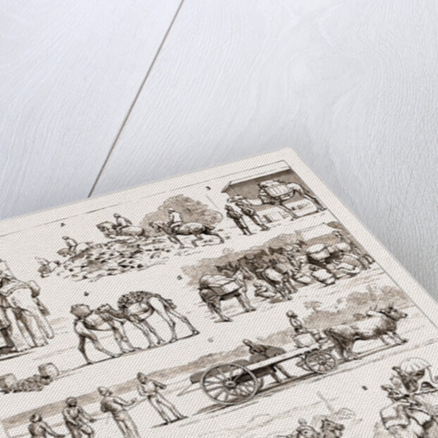 The Sham Fight Before The Prince Of Wales At Delhi, India by Anonymous